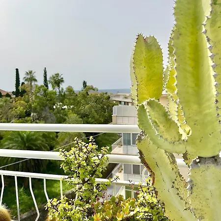 Attico Flaminia Sanremo