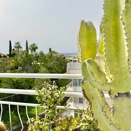 Attico Flaminia